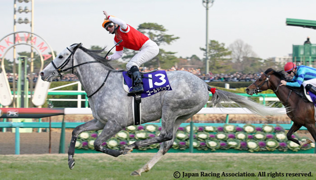Gold Ship after crossing the finish at the 2012 Arima Kinen. Photo: Japan Racing Association.