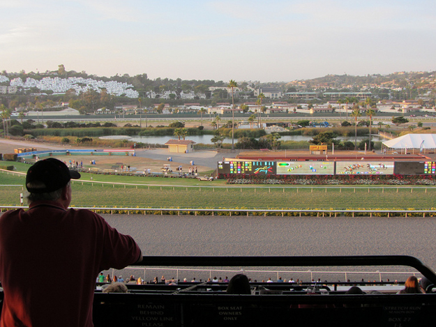 Before the renovation earlier this year, Del Mar's turf course was too narrow to accomodate 14-horse fields. Photo: Patty Mooney/Flickr. 
