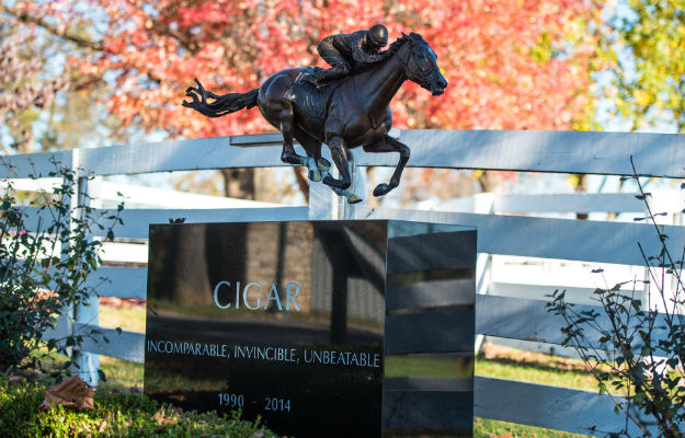 Cigar's final resting place, beside the paddock in which he enjoyed his retirement.  Photo via James Shambhu for the Kentucky Horse Park