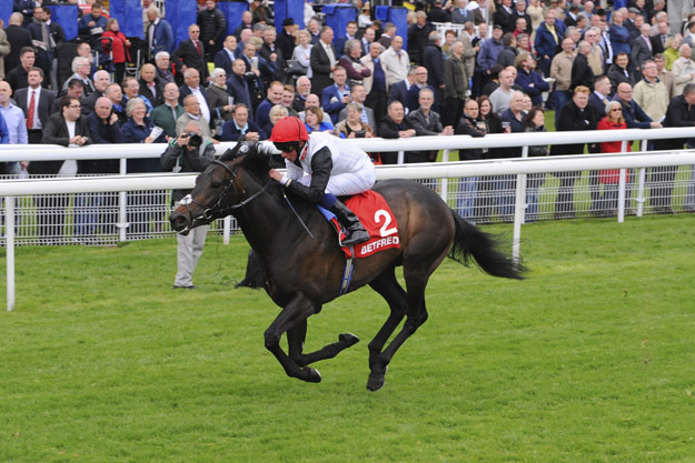 Golden Horn winning the Betfred Dante Stakes at York. Photo provided by York Racecourse.