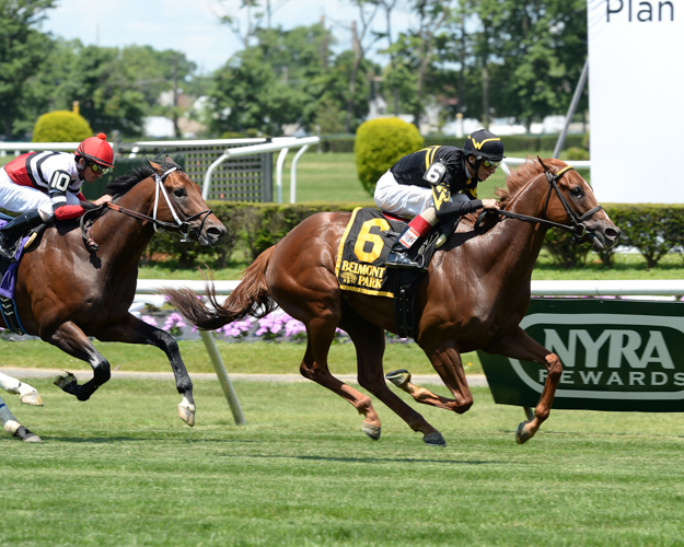 Undrafted winning the G3 Jaipur Invitational Stakes at Belmont Park. Photo: NYRA/Lauren King.