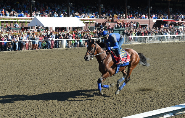 That amazing Friday: American Pharoah's workout the day before the Travers is watched by more than 15,000. Photo: NYRA