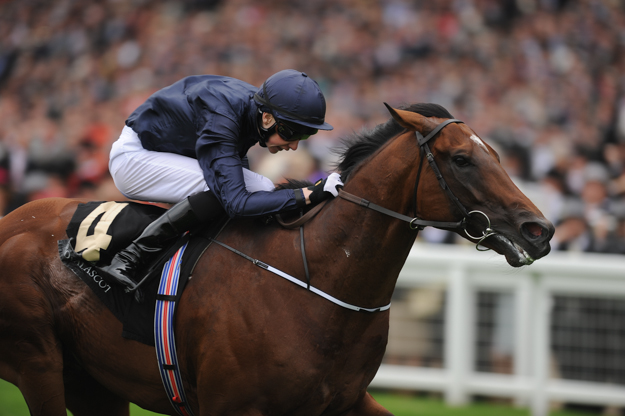 Declaration of War in the Queen Anne Stakes at Ascot Racecourse. Photo: 2013 Charlie Crowhurst/Getty Images.