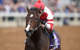 The Hollendorfer masterclass: making sure Songbird continues to thrive