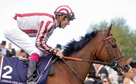 Super Cirrus Des Aigles bids to finally get it right in Hong Kong