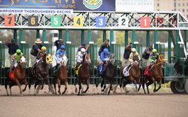 By the numbers: Productive KY Derby preps