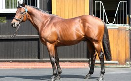 Supersire Dubawi goes from strength to strength