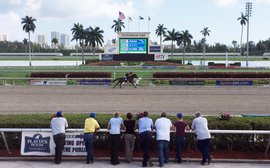 Electricity in the air as Florida Sale's switch to Gulfstream pays off