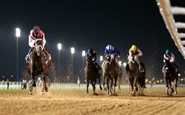 How to win on the new dirt surface at Meydan? Doug Watson has answers