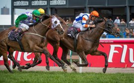 Flemington's Queen Elizabeth Stakes: Extracting a future Cup winner