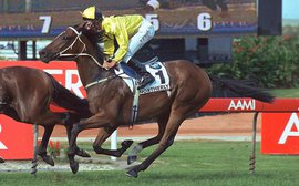 My favorite racehorse: Northerly