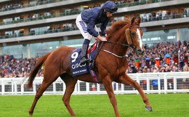 How Derby hero Ruler Of The World emerged as an Arc contender in the 'wrong year'
