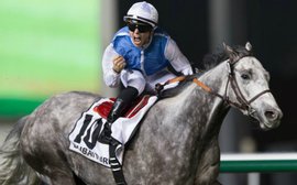 Forget World Cup disappointment, savour awesome new star Solow