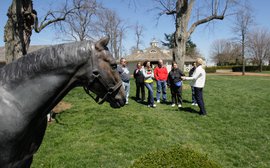 Kentucky farms join forces to give potential fans a taste of the horse country