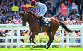 The European runners to watch at the Breeders' Cup