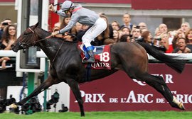 Treve centre stage once more as the big Arc contenders flex their muscles