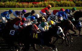 By the numbers: Woodbine wagering analysis shows there's value in data