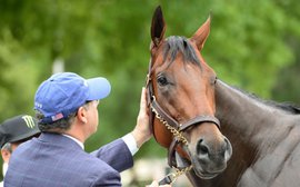 American Pharoah: Ahmed Zayat speaks from the heart about his horse of a lifetime
