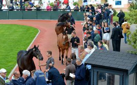 Yearling sales going from strength to strength as Deauville market flourishes
