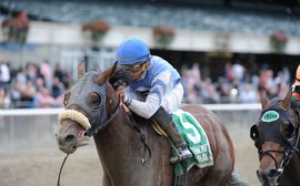 How Jimmy Jerkens uncovered the key to Effinex