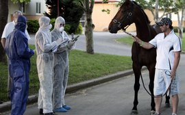 Still counting the cost of equine influenza in Australia