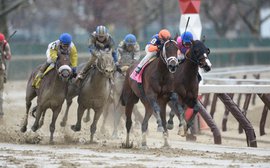 Shades of Uncle Mo as 'wow' horse Outwork closes in on a Derby dream