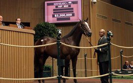 Yearling market maintains strong momentum as buyers out in force at Keeneland 