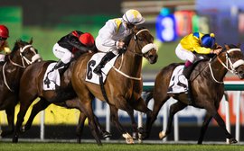 Irish trainers find richer - and easier - pickings in Dubai 