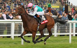 Figures show it’s likely to be a high-quality 2000 Guineas 