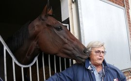 So what exactly did go wrong for Treve in the Arc?