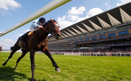 Royal Ascot: Stoute's patient approach bucks the trend in the pop-art age of training
