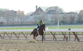 Marathoner preps KY Derby contender for a different type of race