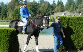 Why Shared Belief's injury could have been a blessing in disguise