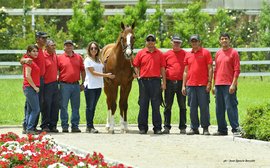 California Chrome: the life of luxury he enjoyed in Chile