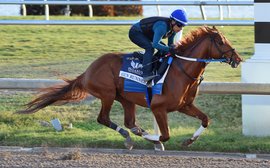 Smooth Gun Runner turns in his last timed workout