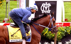 What’s been happening: Muth out of Preakness, City Of Troy bulletin, George Weaver suspension and more …