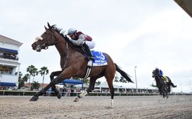 Road to the Kentucky Derby: why Florida makes perfect sense for Tiz The Law