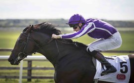 Ten Sovereigns to join U.S. Navy Flag in New Zealand