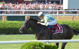 Travers card smashes all-sources handle record