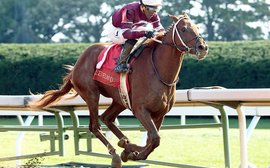 What was it about Kentucky Derby hope Gun Runner that made two racing giants so keen to have him?
