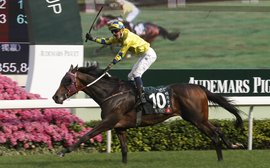 Time is called on race career of international star Werther 