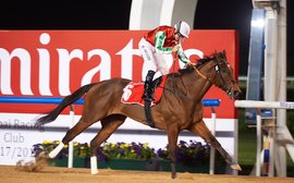 Rematch of top milers as the Meydan action steps up a gear
