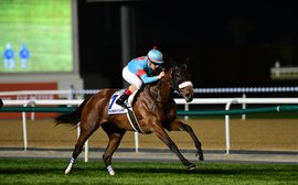 Public to be excluded from Dubai World Cup meeting