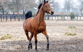 Is Lady Eli beginning to mellow now she’s preparing for a new career? 