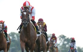 Newspaperofrecord’s revival such a boost for her breeders - now watch for more where she came from