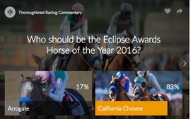 83% of our readers think California Chrome should be Horse of the Year