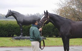 Honor Code, the wow factor and a fresh buzz over the legacy of A.P. Indy