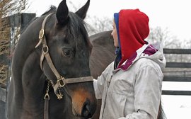 Racehorse aftercare: a beautiful facility that provides all the answers