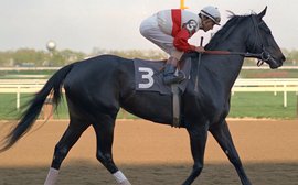 Ruffian goes home: NYRA relocates great filly’s remains to Claiborne Farm