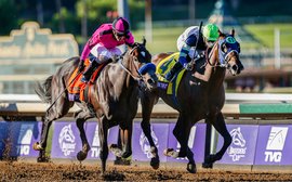 Kentucky Derby Prep School: could BC runner-up be vulnerable this time?